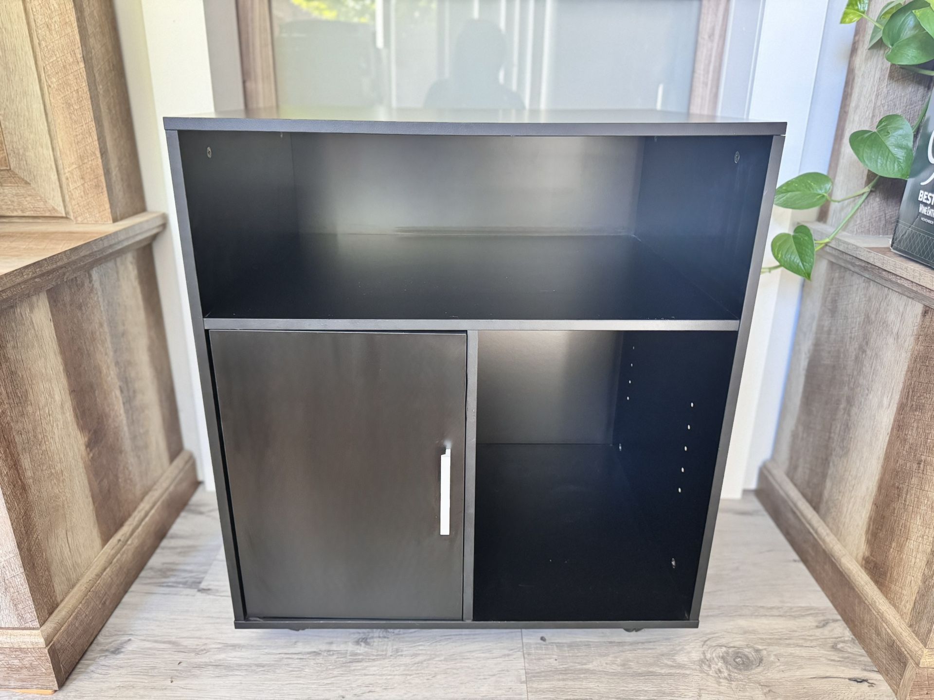 Black Storage Cabinet / Bookshelf