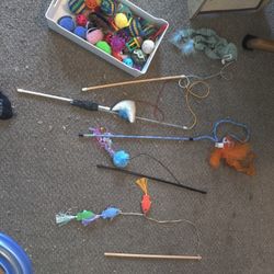 Cat Toys