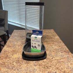 Dog Water Bowl