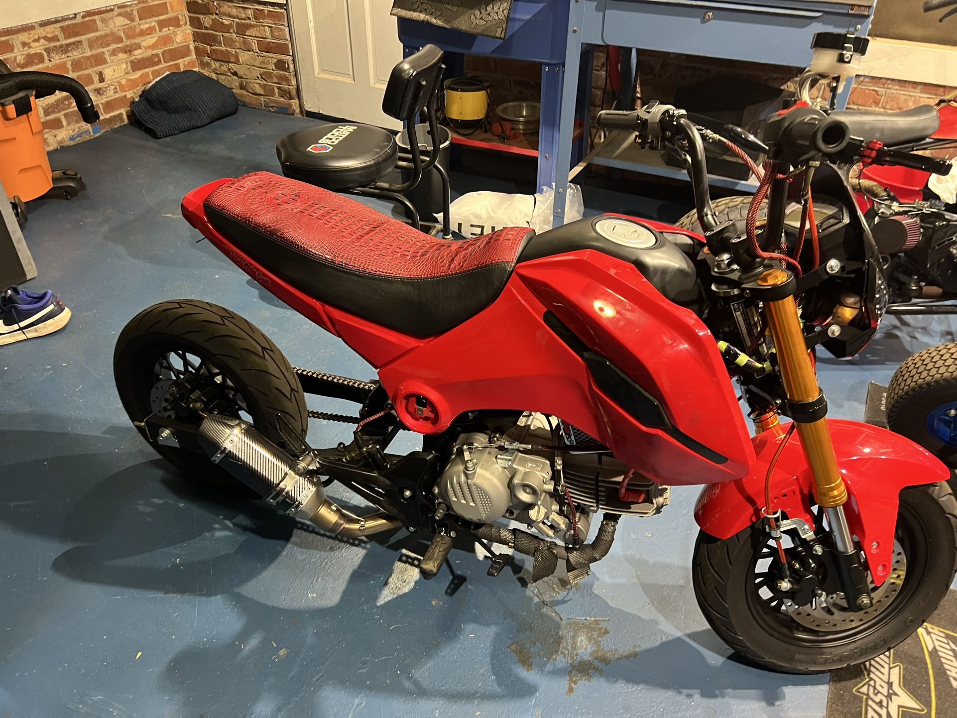 Like New Ice Bear Fureza Zs190 Swap