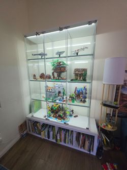 Custom Glass Display Cabinet with Under Book Shelves, LED Lights and Remote