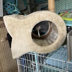 Cat Bed Toy Scratching Post Fish Castle