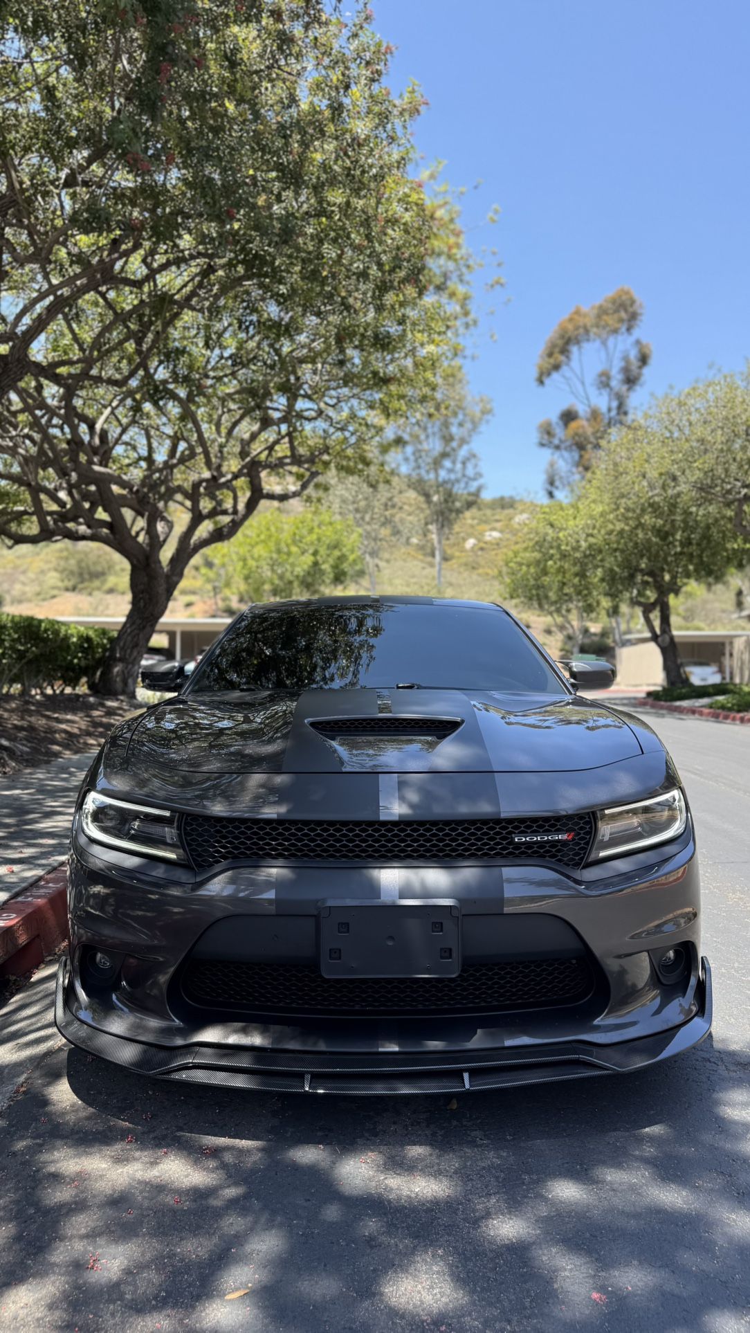 2020 Dodge Charger