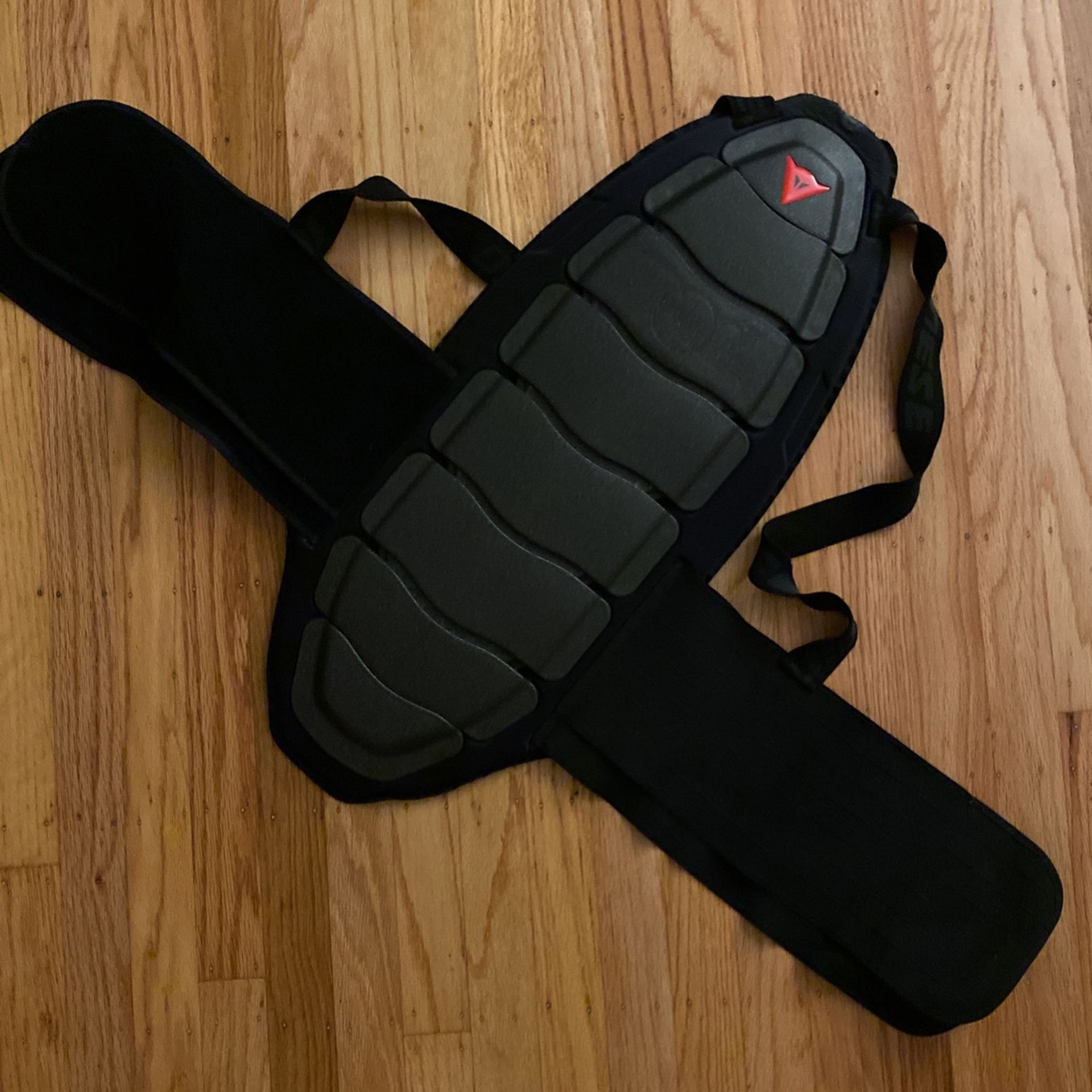 Dainese Back/Spine Protector