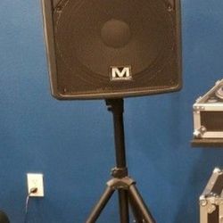 15 Inch Pa/dj  Speakers 