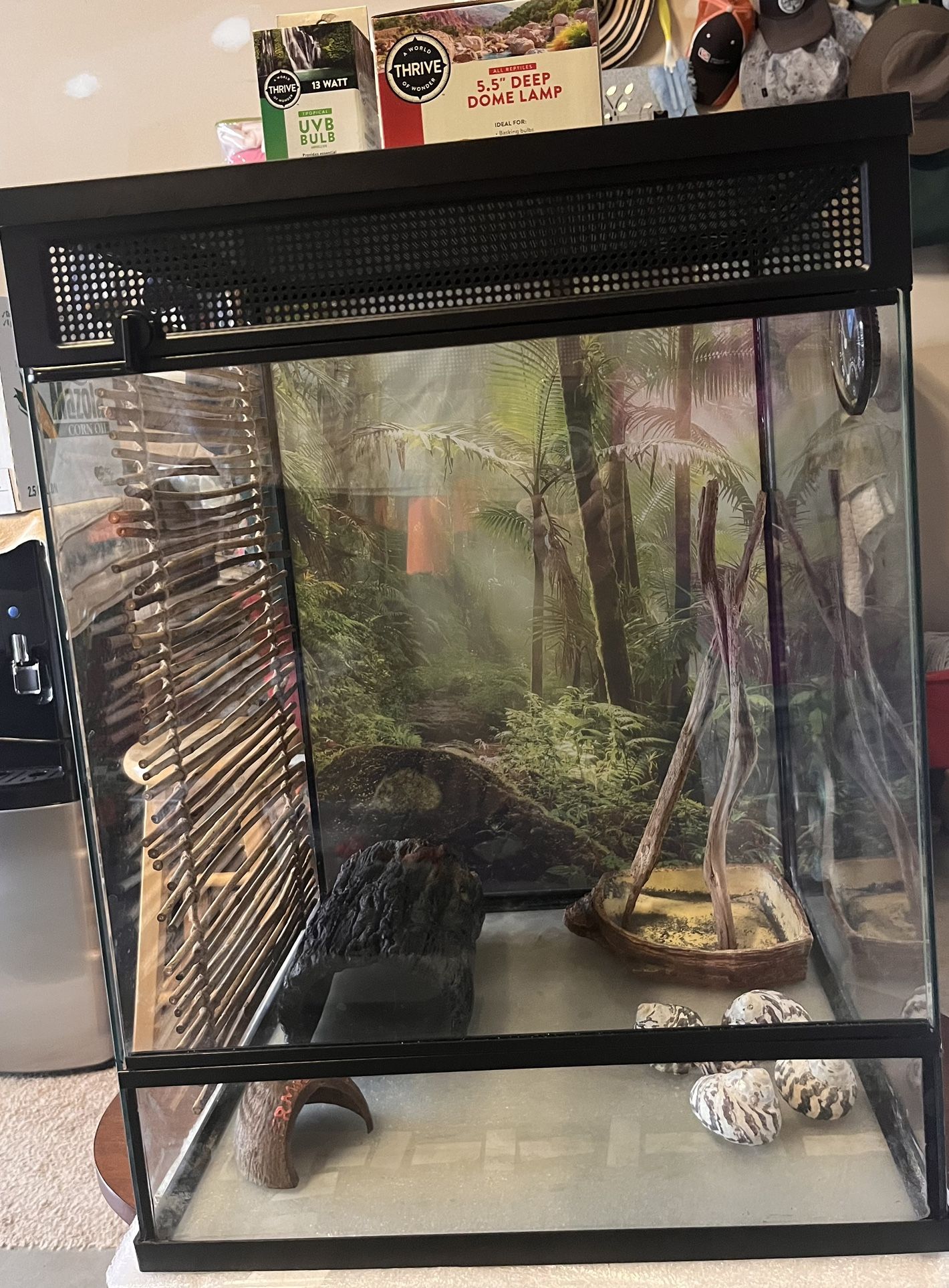Tropical Reptile Terrarium