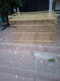 Bird cage  gold color  very  nice.
