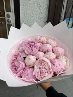 20 Peonies Bouquet !
