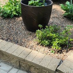 Flower Pot 