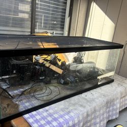 Reptile Enclosure Full Set Up 