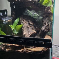 Zilla Crested Gecko Reptile Tank Terrarium