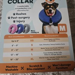 Pet Collar New