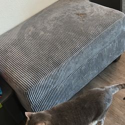 Couch And Storage Ottoman