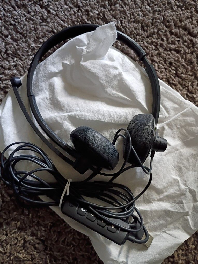 Computer Headphones