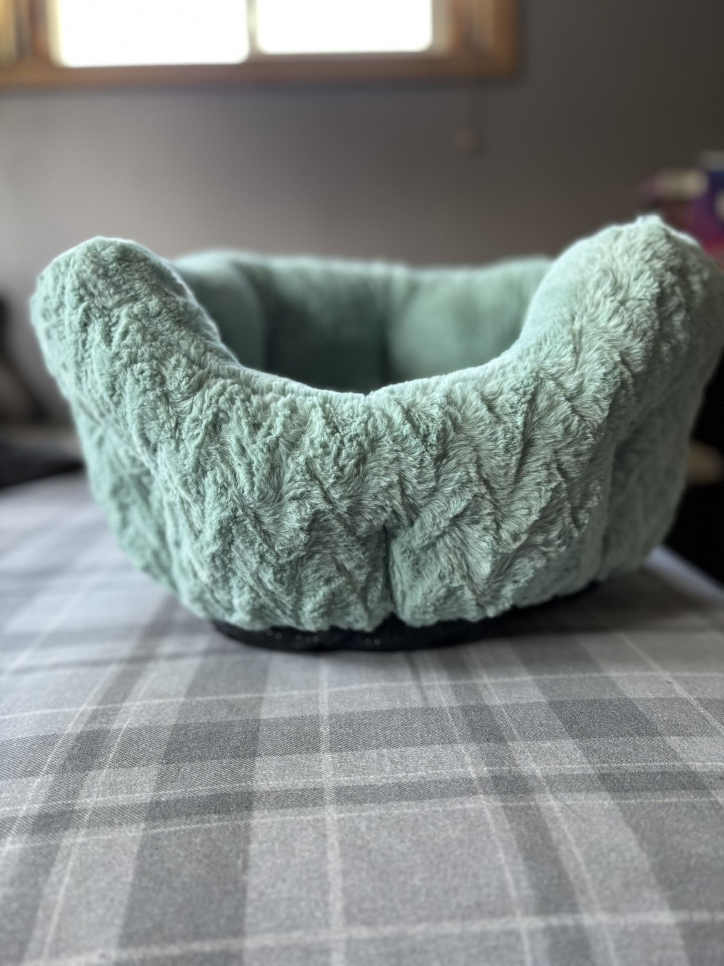 Cat Bed