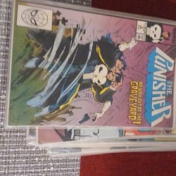 Punisher Comics And Others