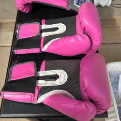 Ladies Boxing Gloves 