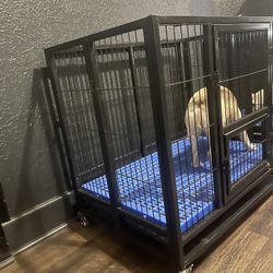 Jaula Para Perro 