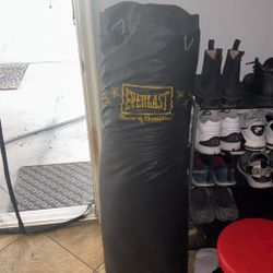 Punching Bag