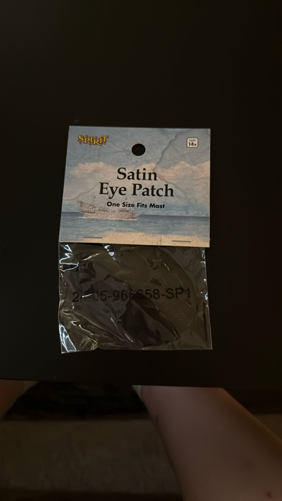 Eye Patch Pirate Costume