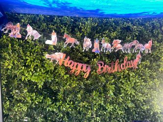 2 piece Horse Happy Birthday Banner; Themed Baby Shower Supplies