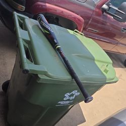 Baseball Bat