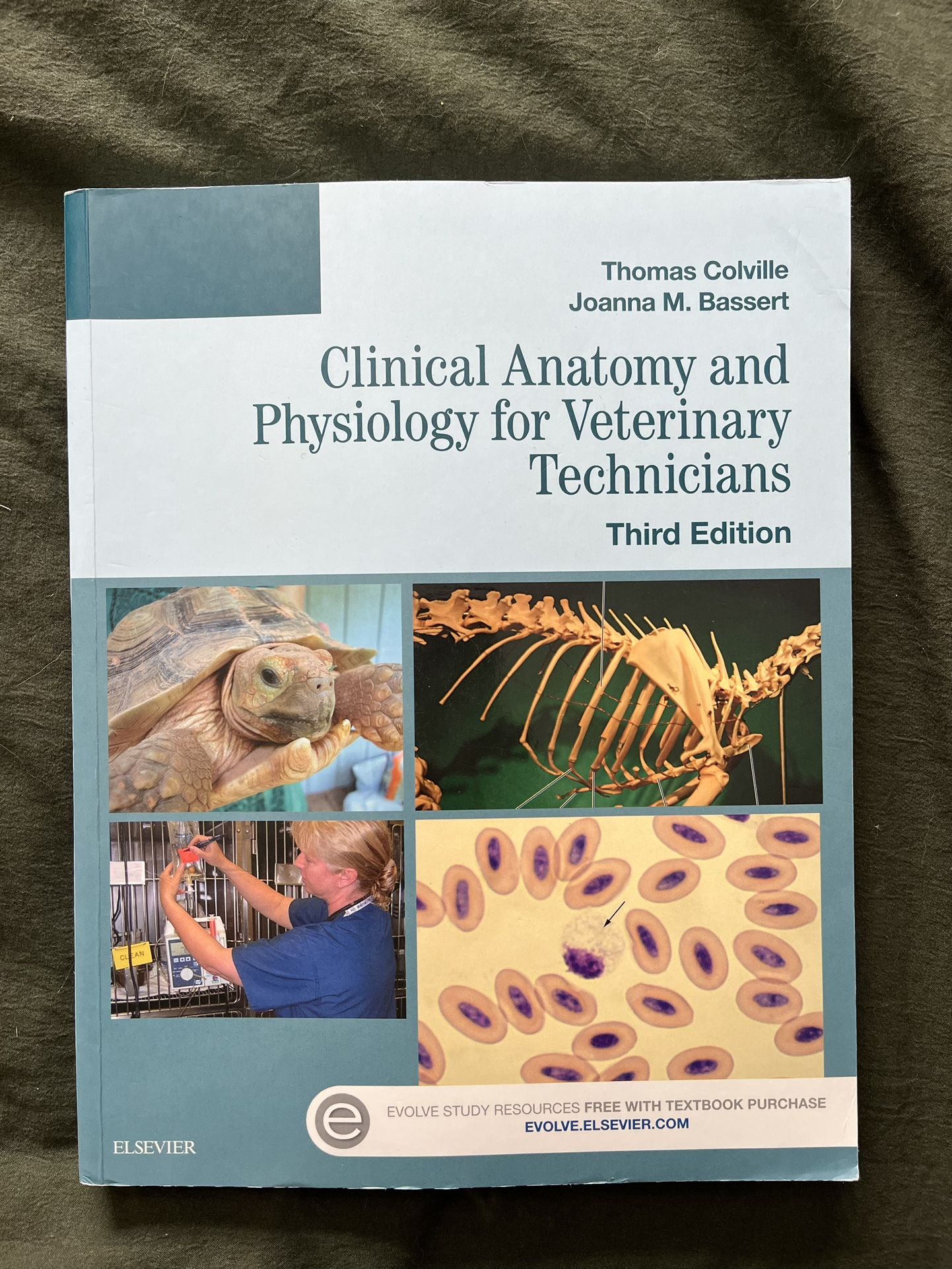 Clinical Anatomy And Physiology For Veterinary Technicians