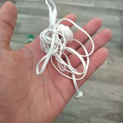 Ear Buds
