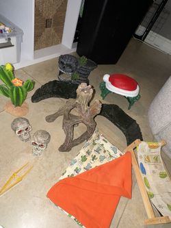 Bearded Dragon Accessories And More 