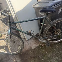 Specialized Rockhopper Mountain Bike 