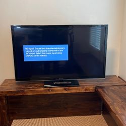 49” Panasonic TV