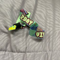2 DAY VIP HARD FEST WRISTBAND 