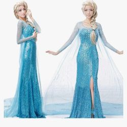 Elsa Halloween Dress For Woman.  Xl