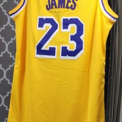 LA Lakers Lebron Big Kids Jersey XL