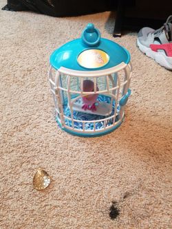 Little Live Bird