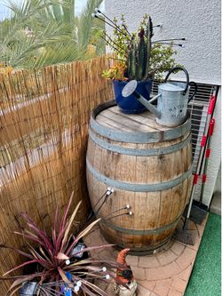 Outdoor items - all has to go