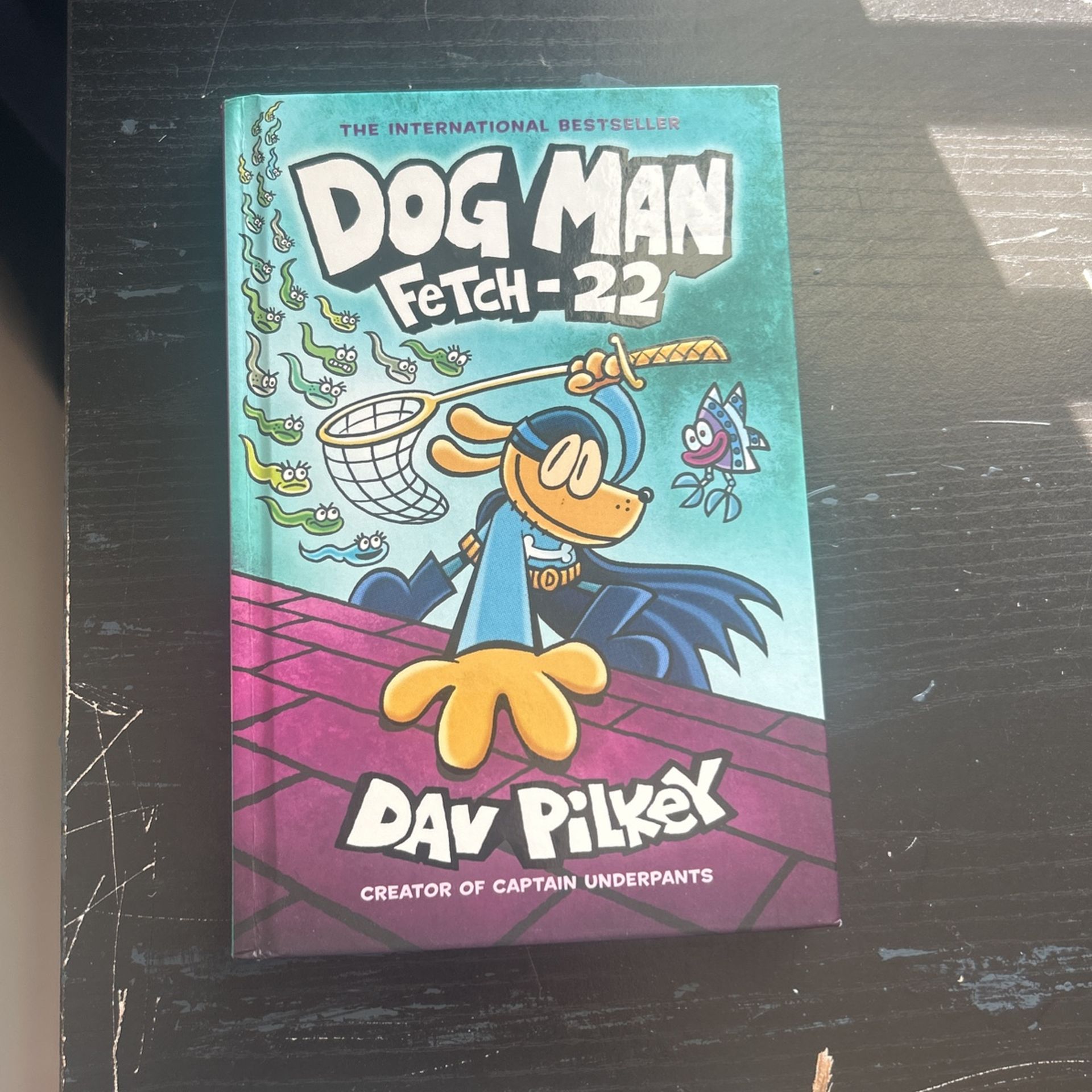 Dog Man Fetch-22