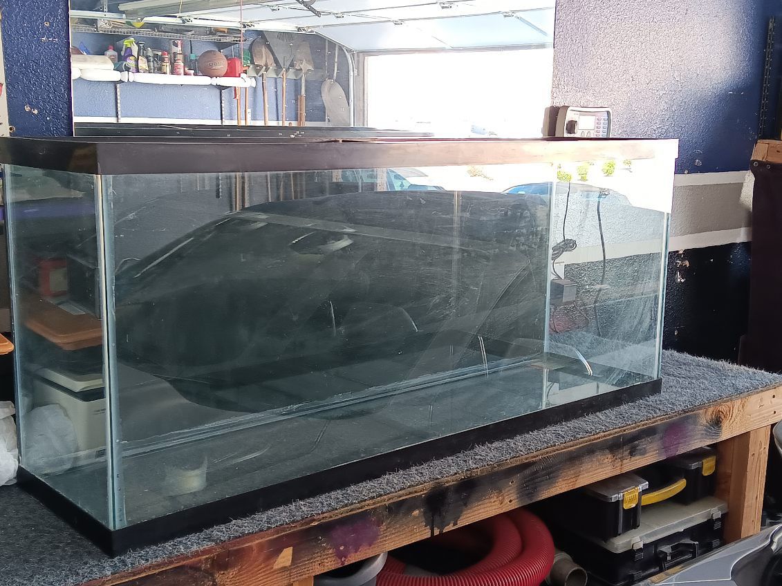 55gal Glass Aquarium With Stand And Filters  