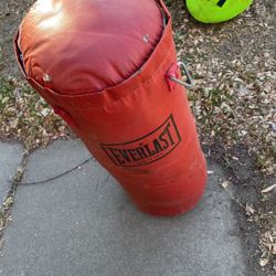 every last punching bag 