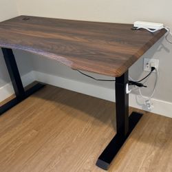 60” long flexispot standing desk 
