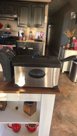 Everstar deep fryer