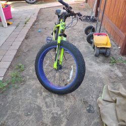 Fat Tire Bike
