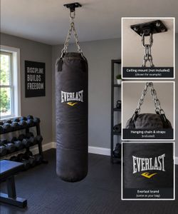 Everlast Punching Bag