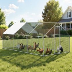 9.8x19.6x6.5 ft Large Walk-in Chicken Runs with Cover