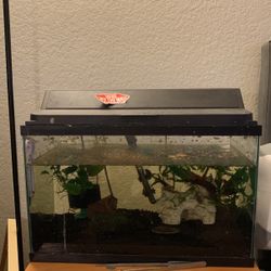 10 Gallon Fish Tank
