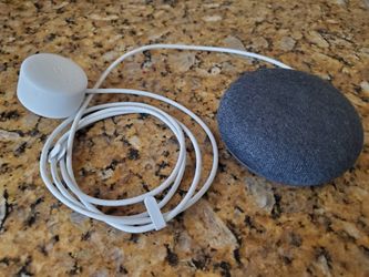 GOOGLE SPEAKER