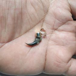 Coyote Claw 14k Pendant 