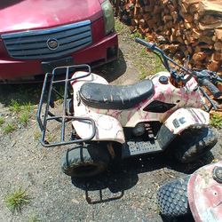 4-wheeler 