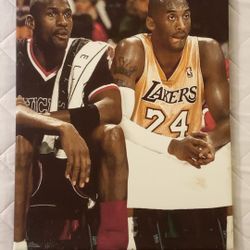 🤩🤩MJ & Black Mamba Spectacular🤩🤩