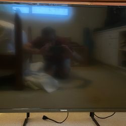 42 Inch TV